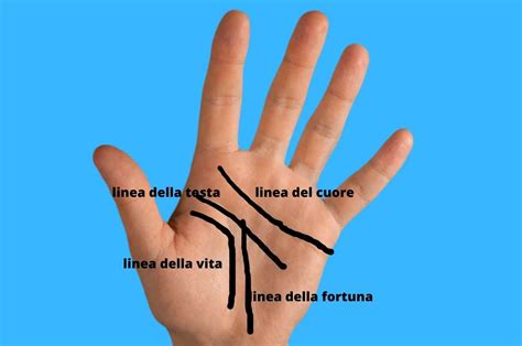 schema dettagliato delle linee principali della mano