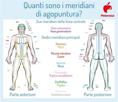 rappresentazione stilizzata dei meridiani energetici utilizzati in agopuntura per il trattamento della cefalea