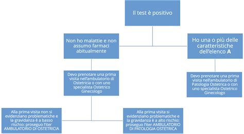 Mappa del reparto di ostetricia