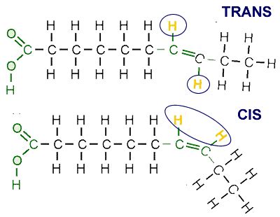 Struttura molecolare grassi trans vs cis