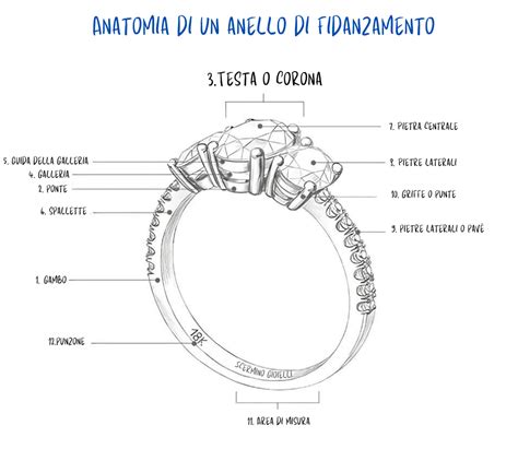 Tipi di tori geometrici (anello, corno, mandrino)