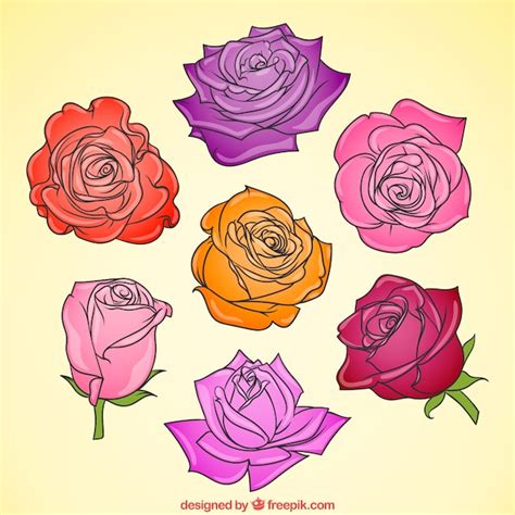 Rose di diversi colori