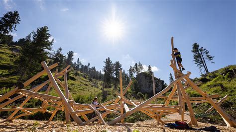 Sentiero immerso nel bosco con installazioni artistiche per bambini