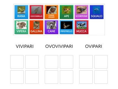 rappresentazione schematica delle strategie riproduttive: ovipari, ovovivipari e vivipari