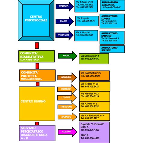 Organigramma semplificato del Dipartimento Salute Donna, Infanzia e Adolescenza
