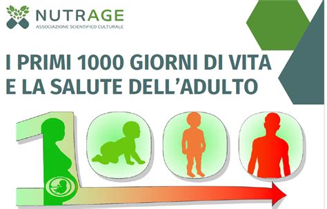 Illustrazione dello sviluppo infantile nei primi 1000 giorni di vita