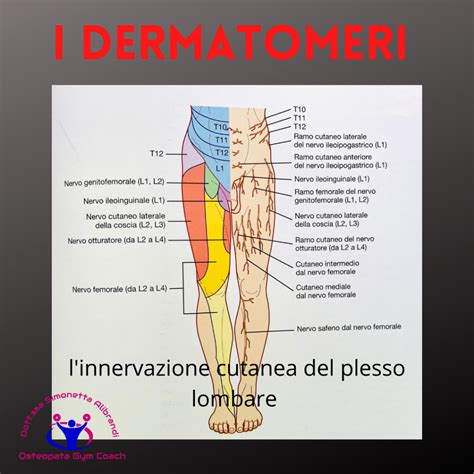 Posizione del nervo cutaneo laterale della coscia e area del dolore