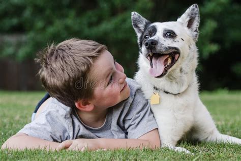 Un bambino che ride di gusto mentre gioca con un cane domestico