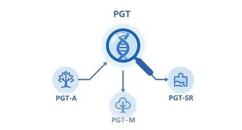 rappresentazione grafica delle diverse tipologie di PGT: PGT-A, PGT-M e PGT-SR