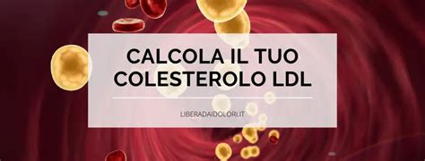 Grafico che mostra la riduzione del colesterolo LDL con supplementazione di proteine del siero di latte e esercizio fisico