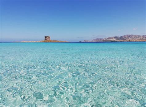 paesaggio rurale della Sardegna vicino ad Alghero con pascoli e macchia mediterranea