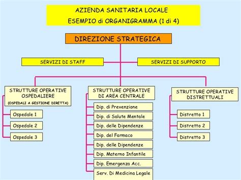 organigramma gerarchico di una moderna azienda sanitaria locale