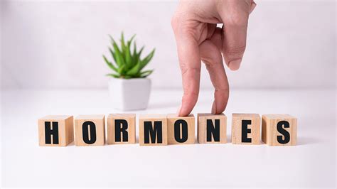 rappresentazione stilizzata dell'anatomia femminile e dell'equilibrio ormonale