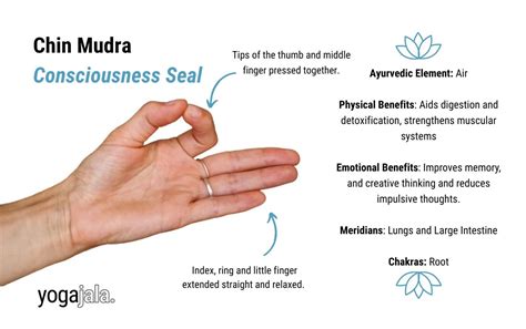 Mudra delle mani (Chin-Mudra, Chin-Maya-Mudra, Ady Mudra)