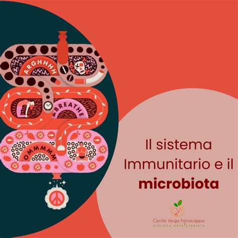 rappresentazione stilizzata del sistema immunitario materno che protegge il feto