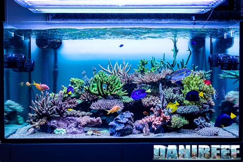 Esempio di layout di acquario con diverse granulometrie