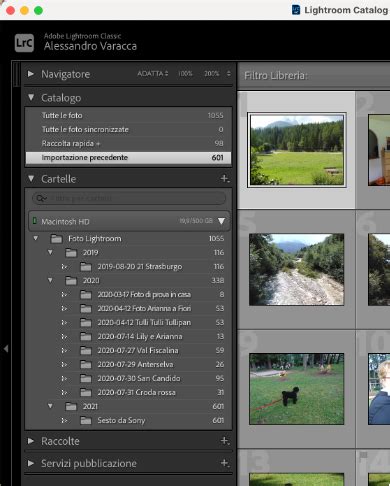 Struttura di cartelle e raccolte in Lightroom