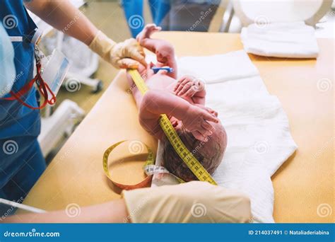 Ostetrica che esamina attentamente la placenta espulsa dopo il parto