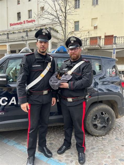 rappresentazione concettuale di una pattuglia dei carabinieri durante un'indagine