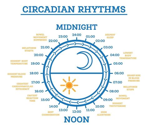 Infographic showing the elements of a lullaby (rhythm, voice, rocking, words)