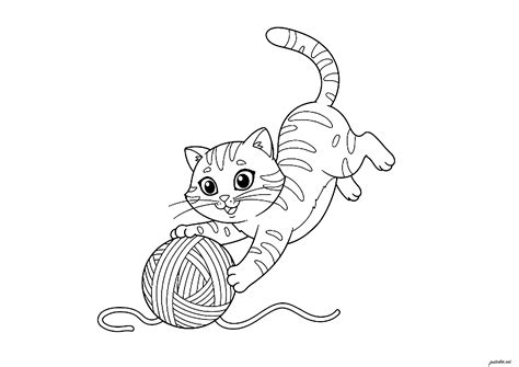 Gatto che gioca con un puzzle feeder