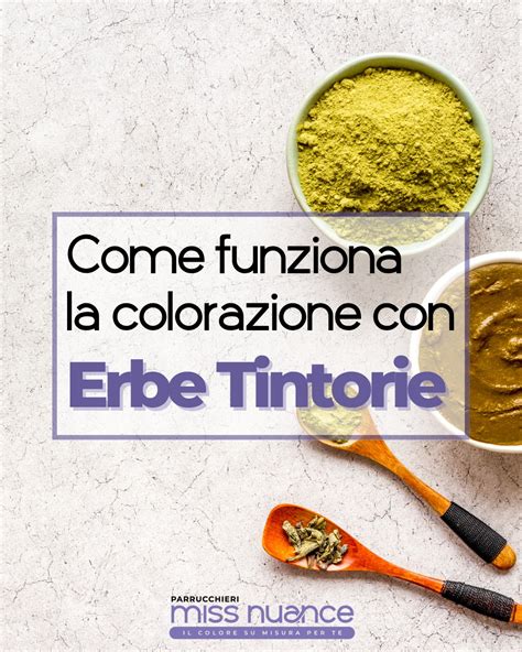 Vari tipi di erbe tintorie in polvere