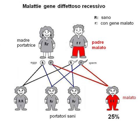 Schema di ereditarietà delle malattie recessive