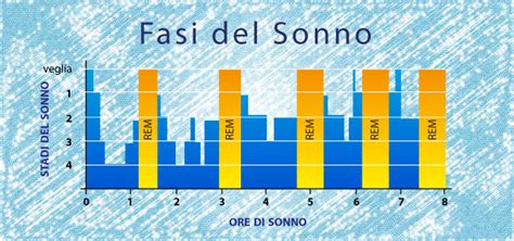 diagramma esplicativo che mostra le fasi del ciclo del sonno e l'attivazione REM