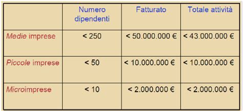 Infografica sulla dimensione aziendale di Rondò di Bimbi