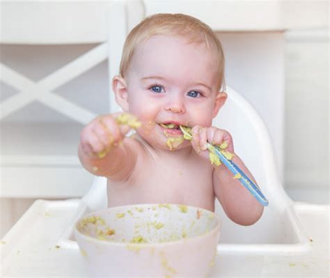 infografica sulle fasi dello svezzamento: dall'allattamento esclusivo alla pappa con cereali