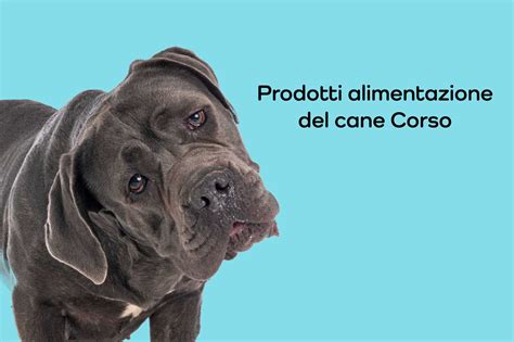 Tabella di crescita e alimentazione del Cane Corso
