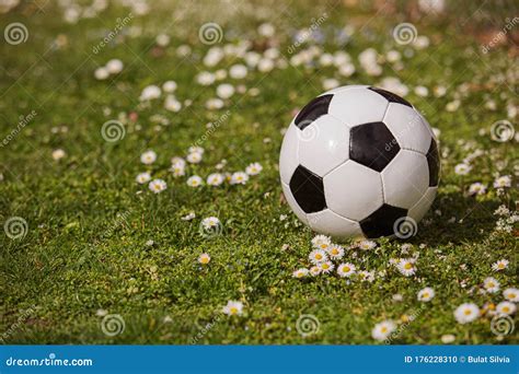 pallone da calcio classico su prato verde