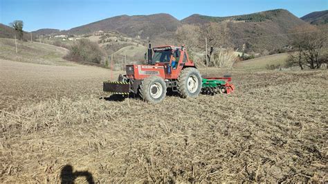 Preparazione del terreno per la messa a dimora