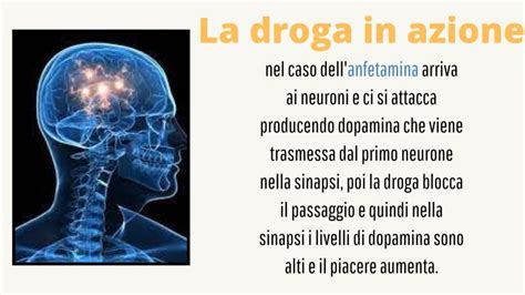 Effetti di bio-stimolanti sul radicamento