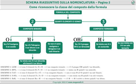 schema riassuntivo delle principali cause di natimortalità