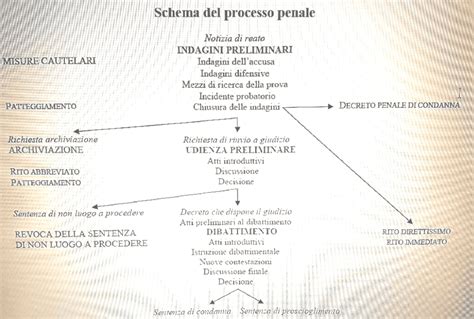 Schema semplificato del processo FIVET