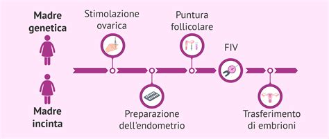 infografica che illustra il processo del metodo ROPA