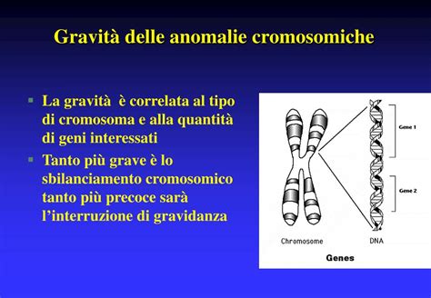 rappresentazione delle trisomie cromosomiche