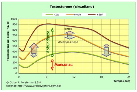 grafico della variazione ormonale durante la gestazione umana