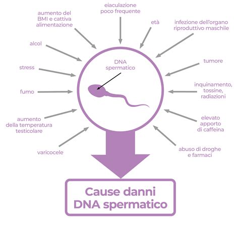 Micrografia di spermatozoi con diversi livelli di integrità del DNA