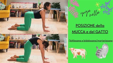 Illustrazione che mostra la posizione 