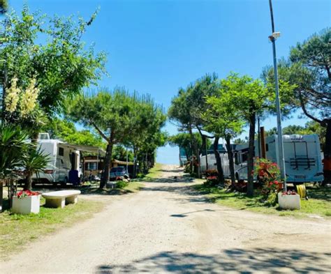 vista di un campeggio immerso nella pineta vicino al mare