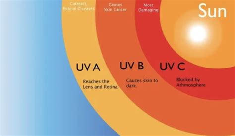 Infografica che mostra le percentuali di blocco raggi UV in base ai tessuti