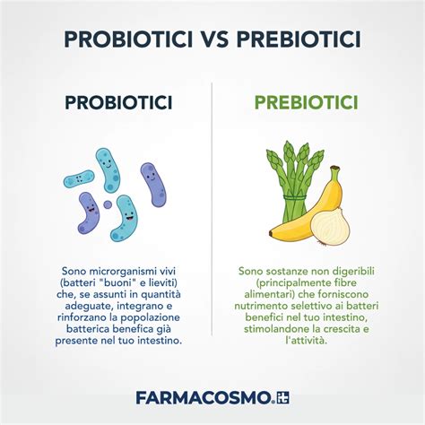 diagramma che mostra l'azione dei probiotici e prebiotici sull'intestino