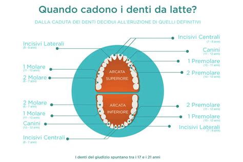 schema che illustra i punti più comuni di caduta dei bambini in casa