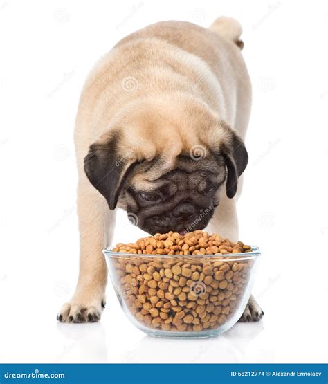 Un cucciolo felice che mangia da una ciotola su un supporto in legno fatto a mano