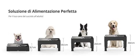 Diagramma che illustra le dimensioni standard di un supporto per ciotole per cani
