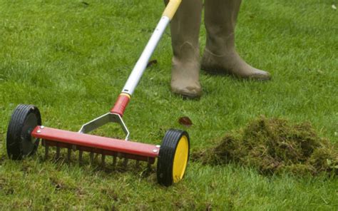 Attrezzatura per la scarificazione del prato