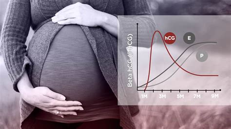 Grafico che mostra la diminuzione delle beta hCG dopo il trattamento con metotrexato