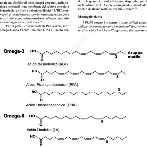 rappresentazione schematica della struttura molecolare degli acidi grassi Omega-3 EPA e DHA